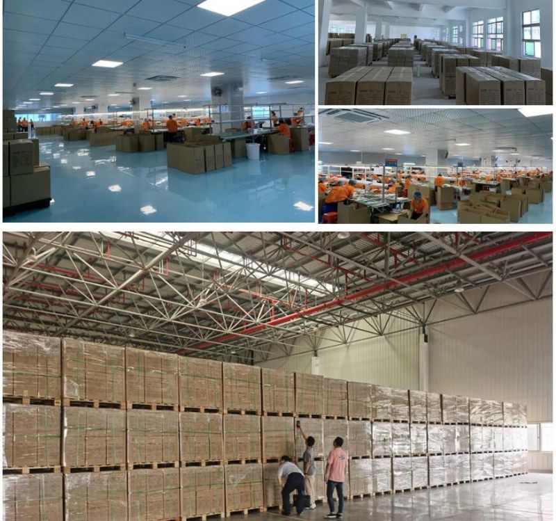 Small Clear Pet PVC Packaging Fishing Lure Plastic Boxes
