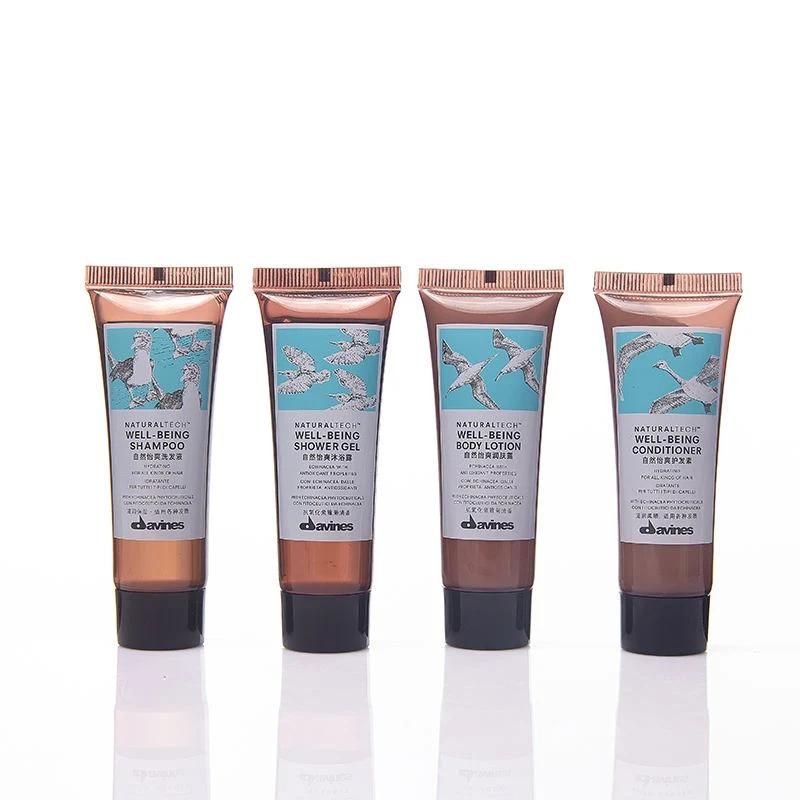 Hot Sale Cosmetic Tube Packaging with Flip Lid Hand Cream Facial Cleanser Skin Care Soft PE Tube Squeeze Tube