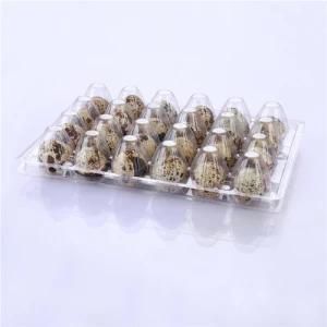 Clear Solid Quail Egg Plastic Tray Customized