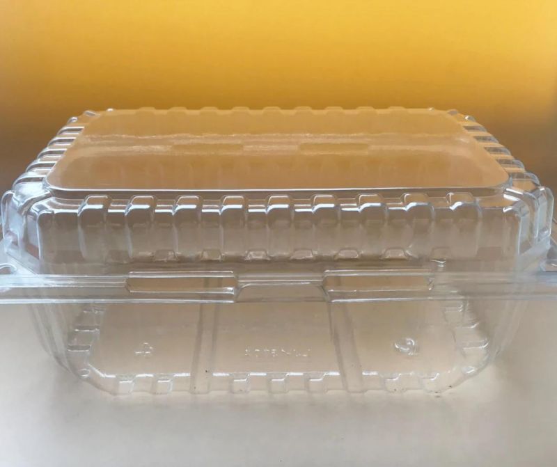 Disposable Plastic Blister Food Packaging Take Away Clamshell Vegetable Packing Container