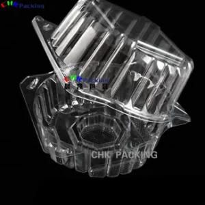 Custom Cherry PLA/Pet Disposable Container Blister Packaging Transparent Square Fresh Fruit Plastic Box Lettuce Clamshell