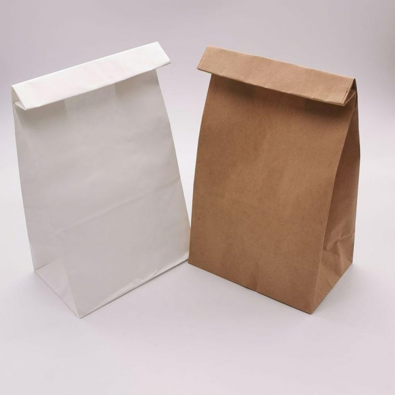 Kraft Paper Bag