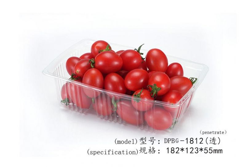 Supermarket Biodegradable Serving Tray Fruits Vegetable Storage with Dividers Cover Package Trays