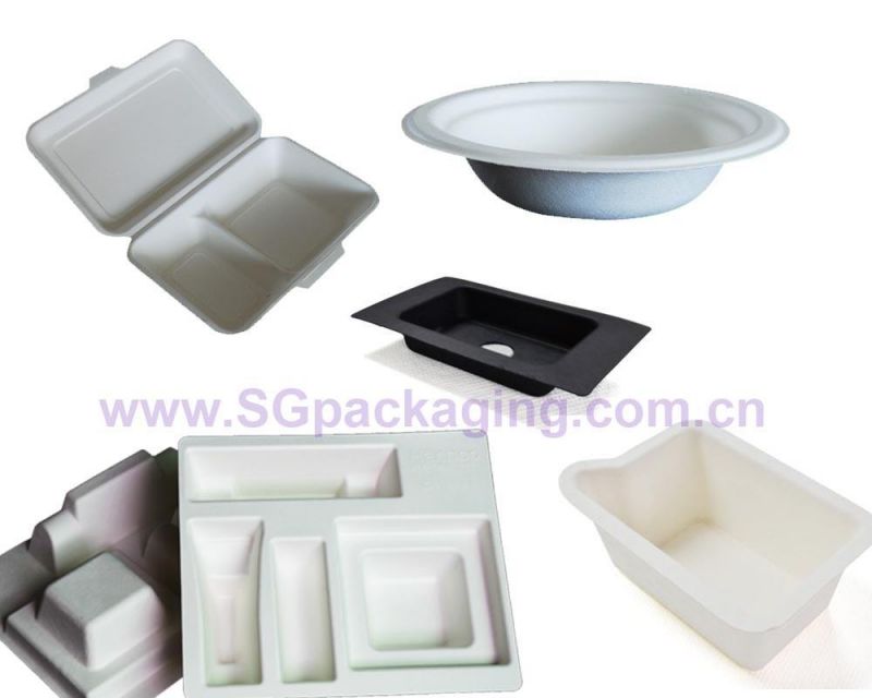 Customized Molded Sugarcane Bagasse/ Paper Pulp Compostable Biodegradable Packaging