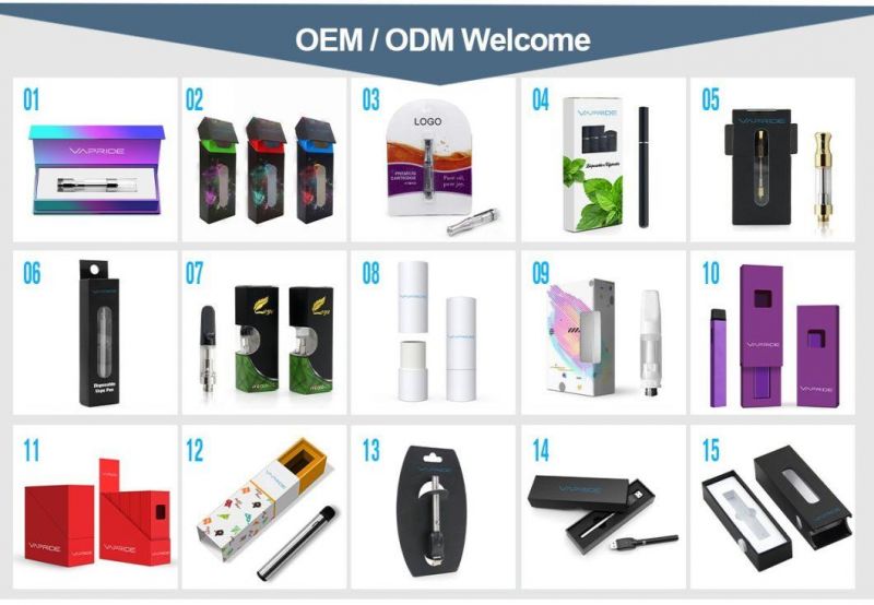 Hottest OEM Logo Paper Box E-CIGS E Cigarette Disposable Vape Pen Packaging