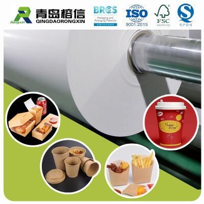 Folding Box Board PE Coated Paper for Packaging
