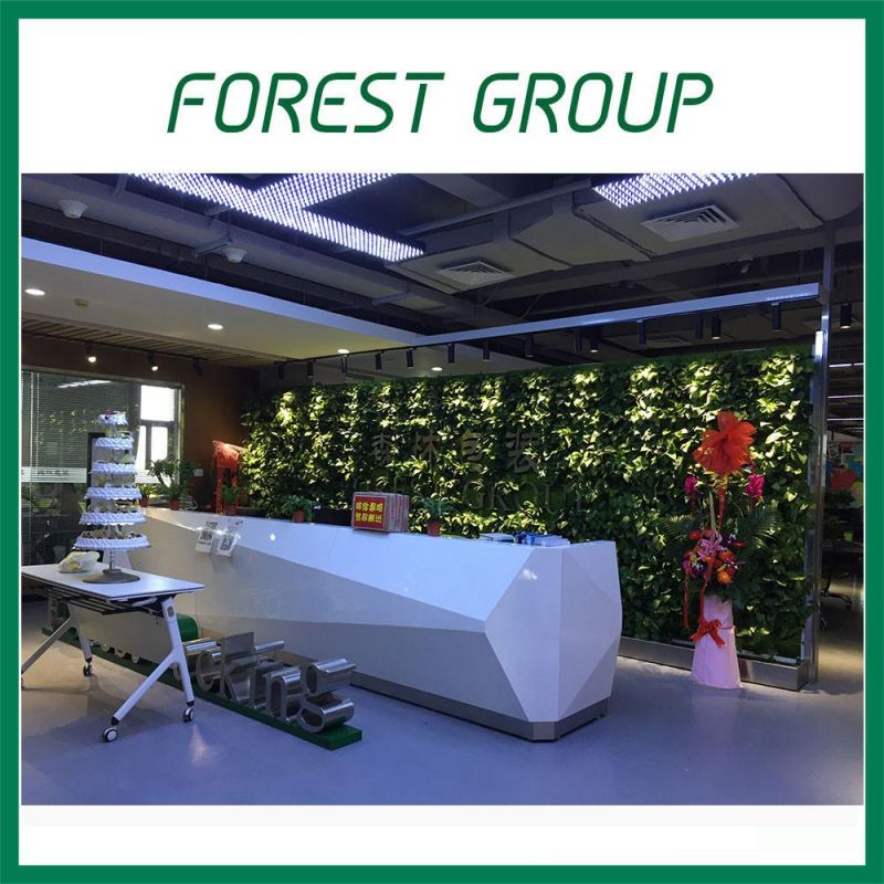 Forest Factory Shipping Carton Packaging Box