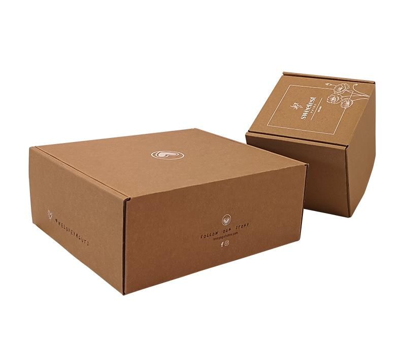 Wholesale Custom Spot UV Brown Kraft Paper Corrugated Cardboard Carton Delivery Packaging Box for Mail