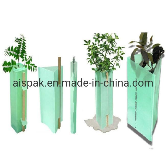 Coroplast Corrugated Plastic Ginger Asparagus Okra Box for Packing