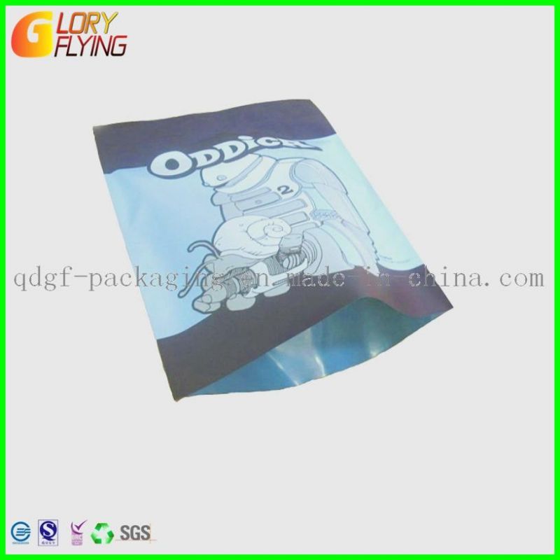 Plastic Packaging Bags for Garment /Zip Lock Bag