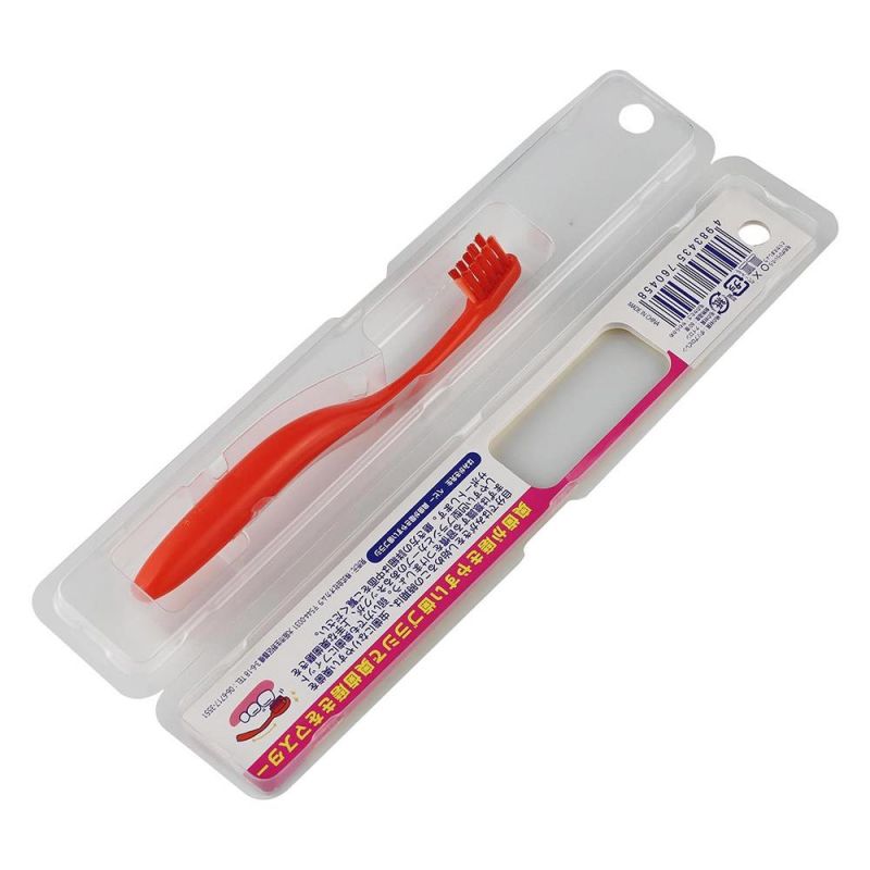 Pet Double Plastic Box Toothbrush Clamshell Blister Packaging