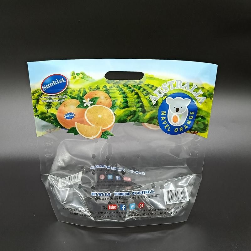 Plastic Laminated Salad Bag with Transparent Window