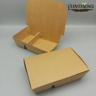 Biodegradable Food Container with Dividers and Lid Wholesale