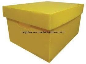 PP Corrugated Box /Plastic Box /Plastic Package