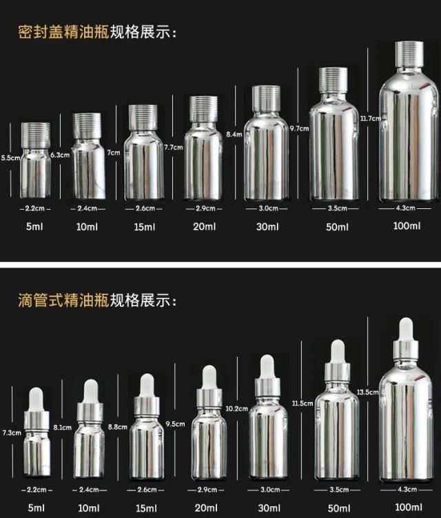 Whoelsale Empty 5ml 10ml 15ml 20ml 30ml 50ml 100ml Silver Refillable Glass Perfume Bottle with 4 Option Lid