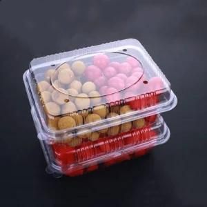 Disposable Plastic Stable Cheap Fruits and Vegetables Container