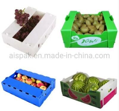 PP Twin Wall Hollow Fruit Vegetable Packing Box