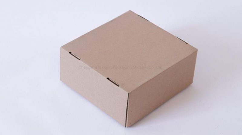 Custom Printed Logo Printing Packing Products Corrugated Box Packing Carton