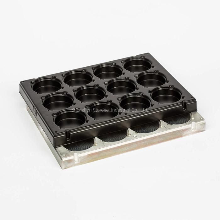 Custom Plastic Food Grade Divided Food Trays for Chocolate Packaging