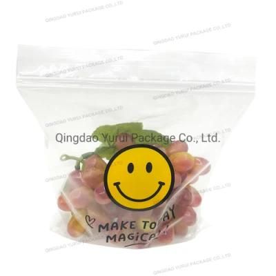 OEM Plastic Packaging Bag Zip Lock Bag