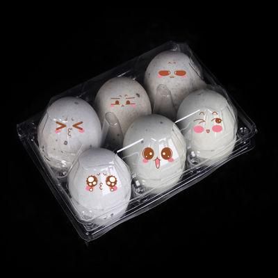 Free Sample Clear Plastic Egg Packaging Cartons Tray with 6 Holes