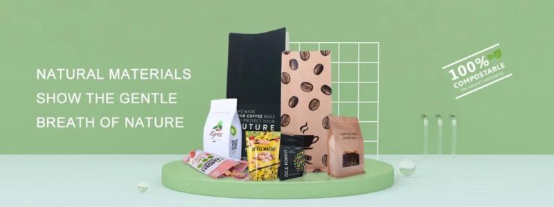 Eco Friendly Food Snack Storage Compostable Kraft Paper Bags