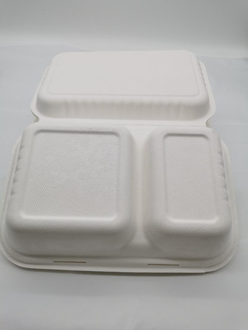 Take Away 2 Compartment Food Packaging Bagasse