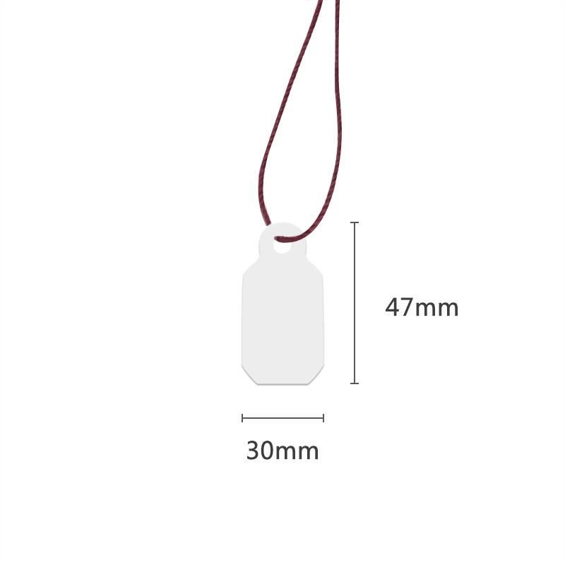 Custom Plastic PVC String Tag Labels for Jewelry (FP100-16)