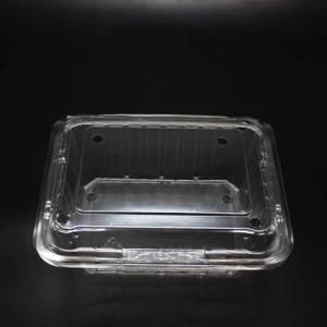 Customizable Fruit Blister Box Transparent Food Box Packaging Flip Blister Pack