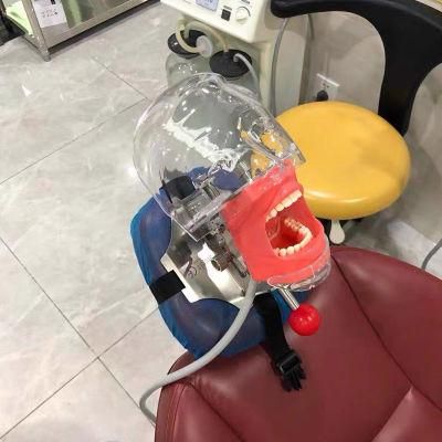 Simple Manikin Kit Dental Simulator Head Hands-on Dental Unit
