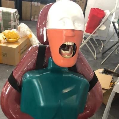 Simulated Body Phantom Head Model with Belt Dental Simulator