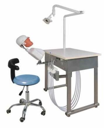 Dental Training Mannequins Dental Simulation Unit Phantom Head for Dental Student Practice Simulation