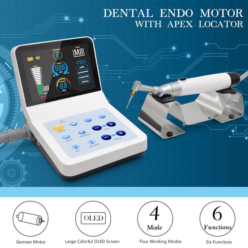 Dental Equipment Endo Motor with Apex Locator Endo Mate