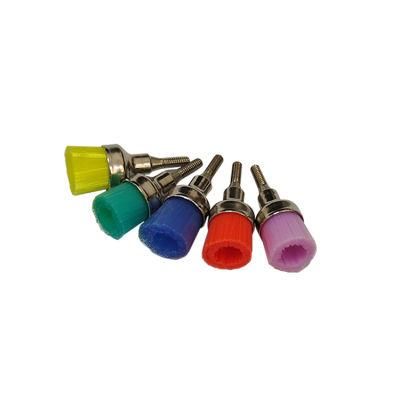 Disposable Dental Prophylaxi Prophy Polishing Cups Brushes