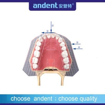 Auxiliary Orthodontic Dental Measuring Ruler Guide Plate