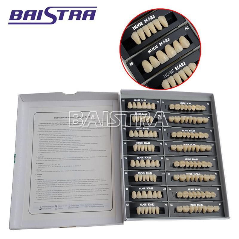 Dental Synthetic Polymer Teeth Resin Denture A2