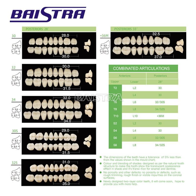 Dental Synthetic Polymer Teeth Resin Denture A2