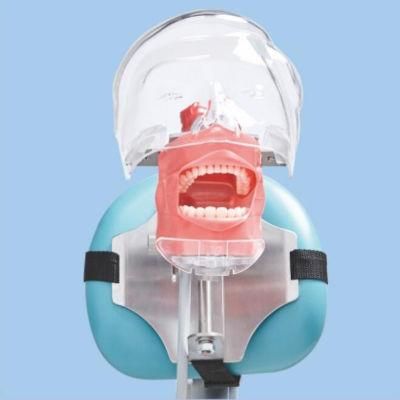 Dental Teeth Simulator Head with New Style Bench Mount