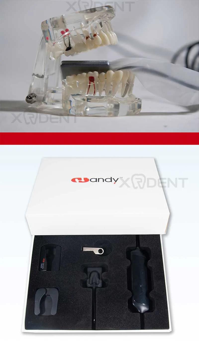 Chinese Dental X-ray Sensor Intraoral Imaging Dentist Equipment