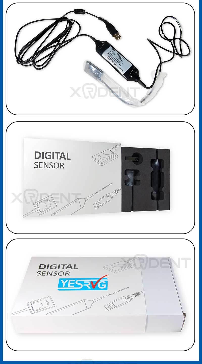 Sell Professional Dental Digital Sensor