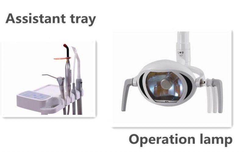 Ce, ISO Approved European Standard Colorful Dental Unit