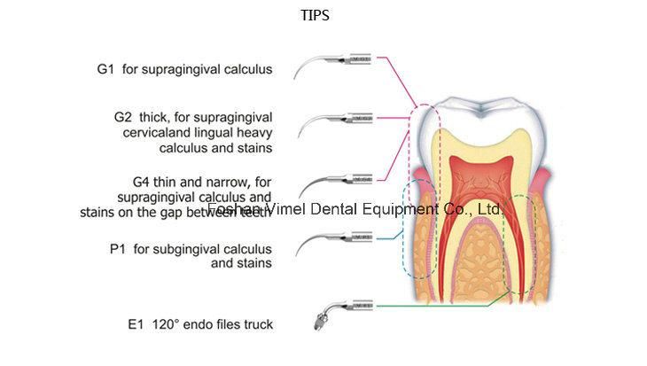 LED Built in Dental Ultrasonic Scaler Scaling Machine