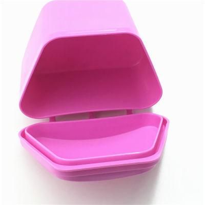 Denture Storage Box Denture Box Rainbowl Retainer Box