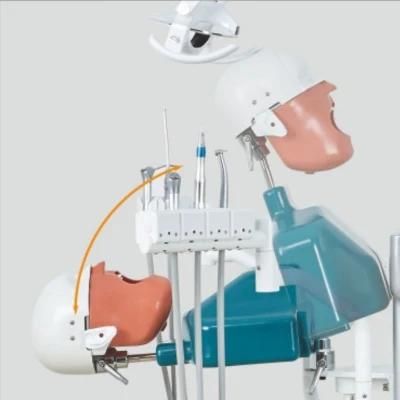Training Simulation Manikin Dental Simulator for Dentist Practice Teaching Education