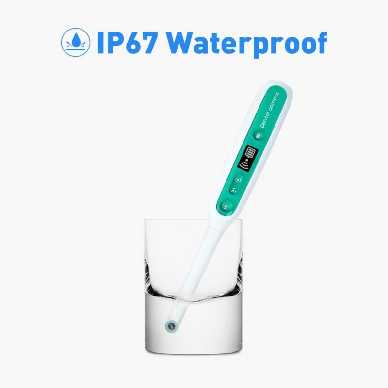 USB Intraoral Camera with 8 LED Light Used for Kids