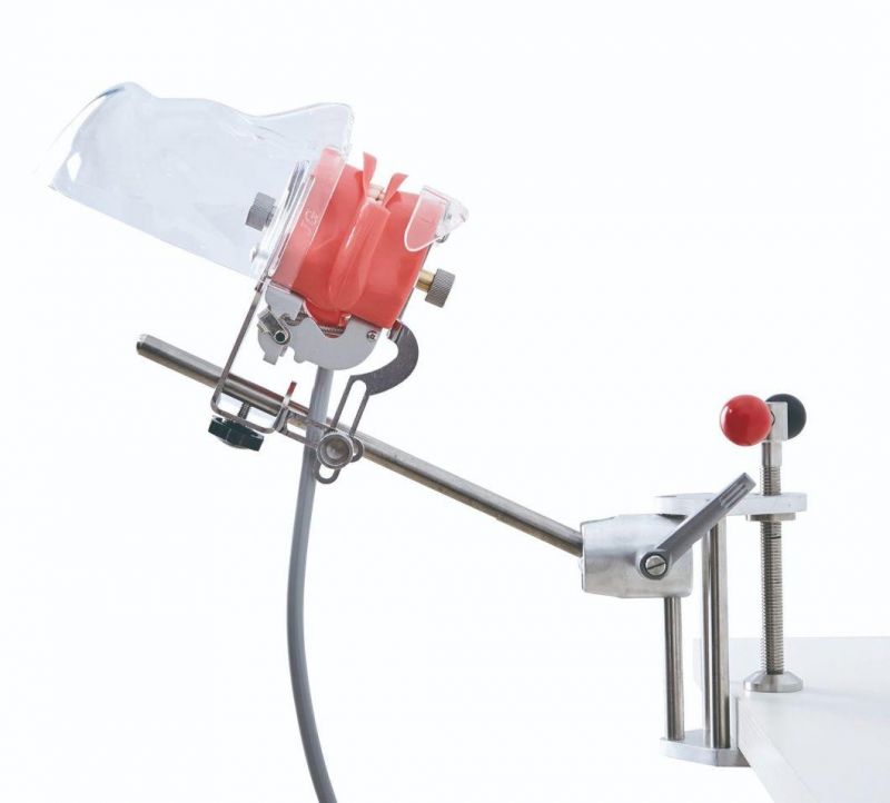 Adjustable Dental Manikin Phantom Head, Dental Equipment