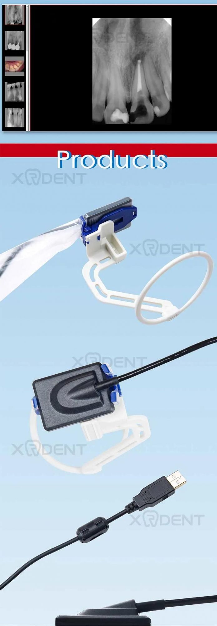 Chinese Dental X-ray Sensor Intraoral Imaging Dentist Equipment