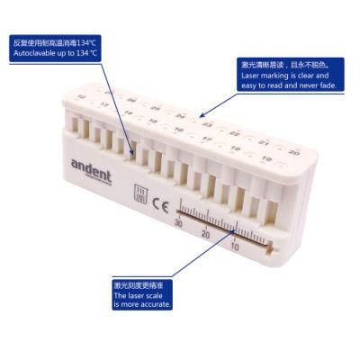 Dental Suply Endo Measure Sterilize Block