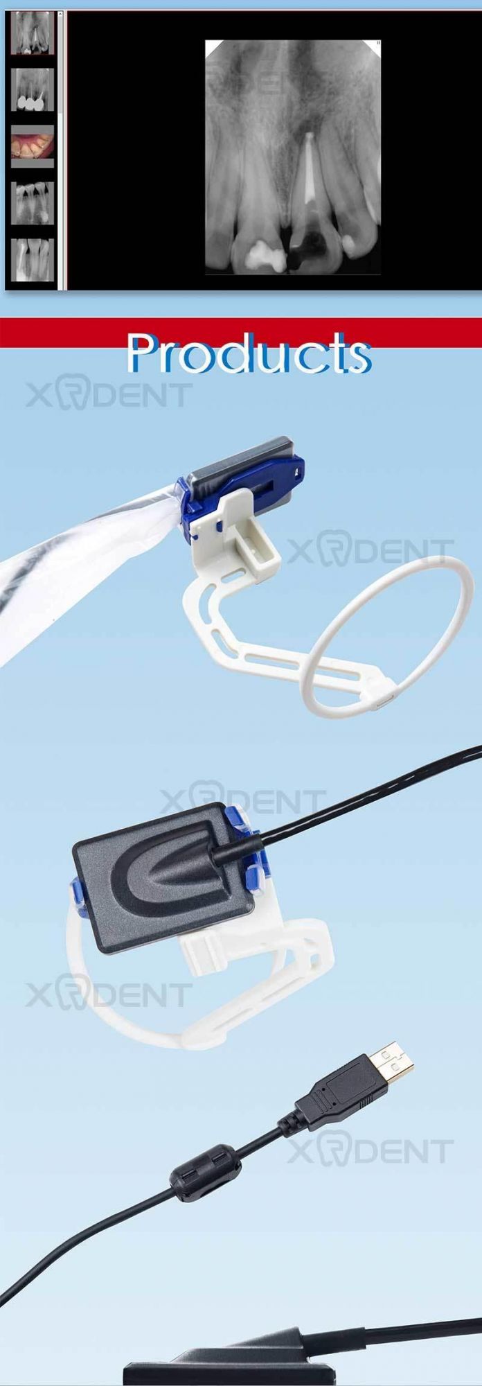 China Dental X Ray Rvg Sensor Dental Digital Sensor X-ray Unit with CE