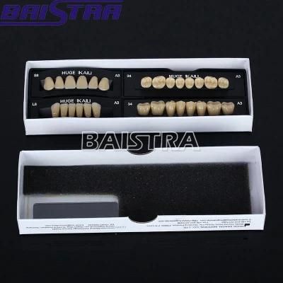 Top Quality Dental Synthetic Polymer Teeth Resin Denture for Sale